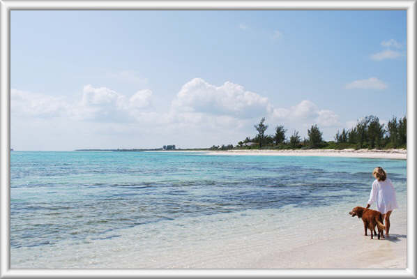 Abaco Islands Dog House