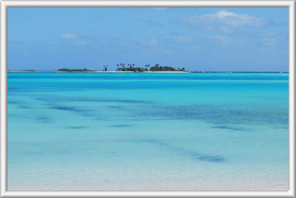 Abaco Islands Dog House